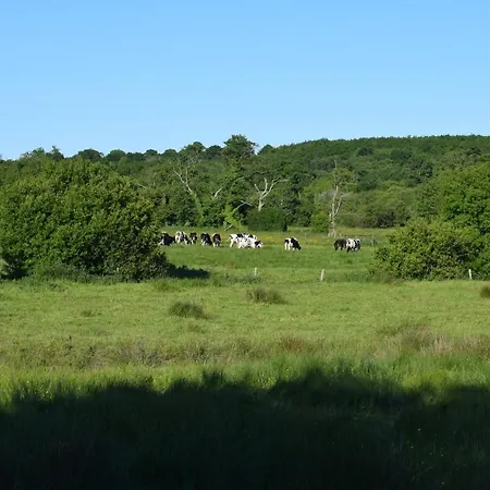 De La Vallée De La Douve * L'Etang-Bertrand