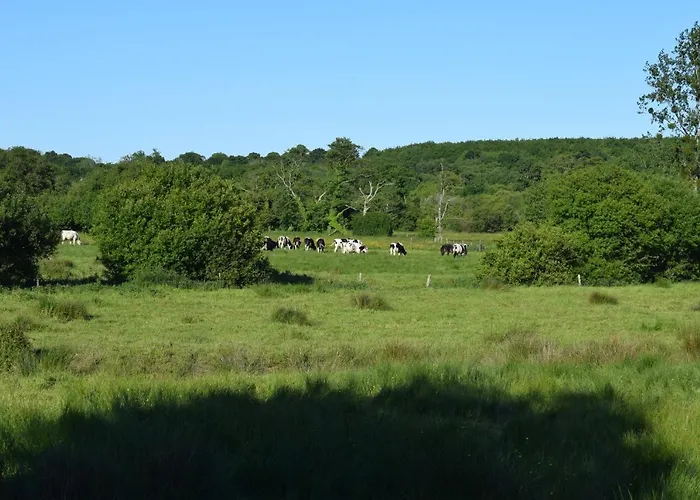 De La Vallee De La Douve * L'Etang-Bertrand